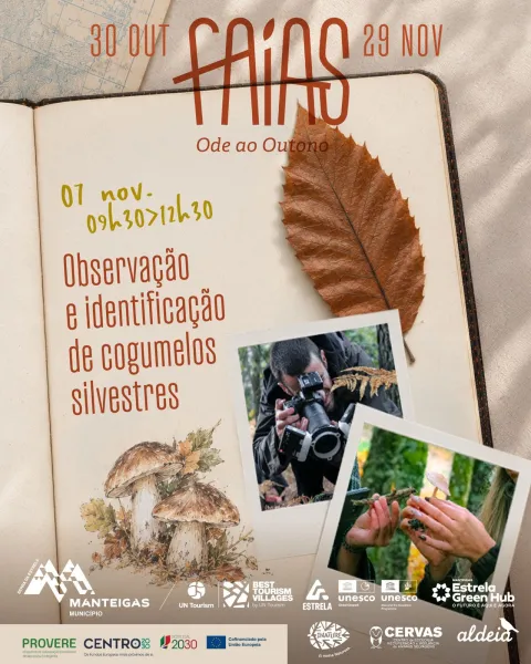 Cartaz da observação e identificação de cogumelos silvestres, a 7 de novembro, das 09h30 às 12h30.