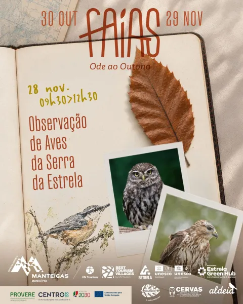 Cartaz da observação de aves da Serra da Estrela, a 28 de novembro, das 09h30 às 12h30.
